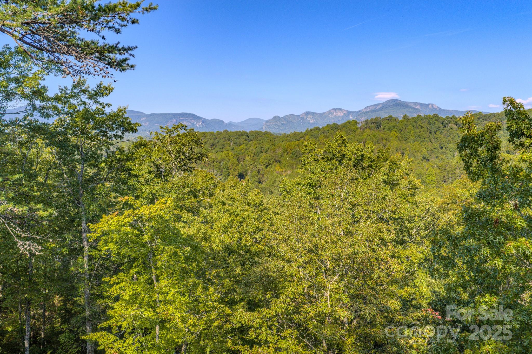 0 Willow Top Lane, Unit 332 Lake Lure, NC 28746 - Photo 3 of 9