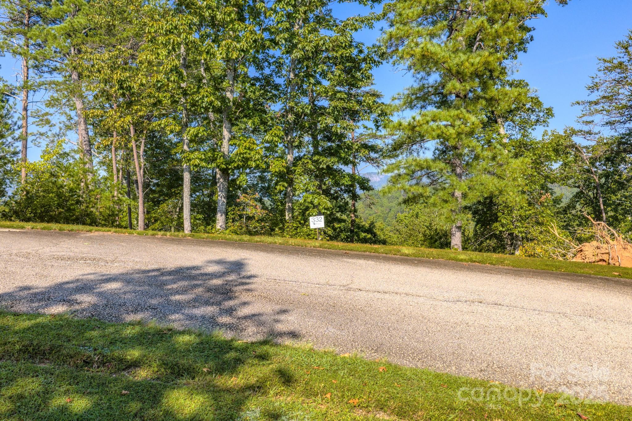 0 Willow Top Lane, Unit 332 Lake Lure, NC 28746 - Photo 4 of 9