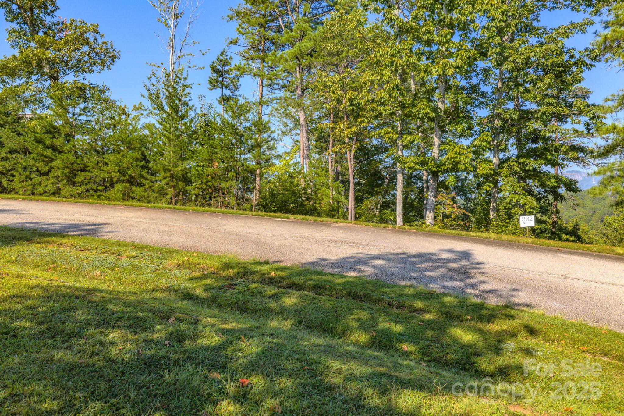 0 Willow Top Lane, Unit 332 Lake Lure, NC 28746 - Photo 5 of 9