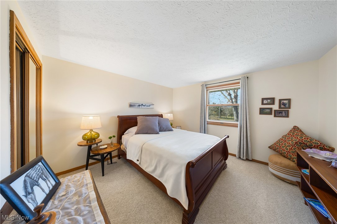 4515 State Road Medina, OH 44256 - Photo 19 of 36 Bedroom with a textured ceiling and light carpet