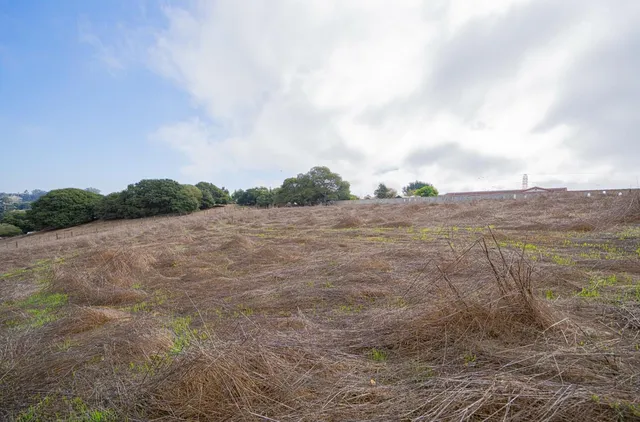 a view of a field with trees in background