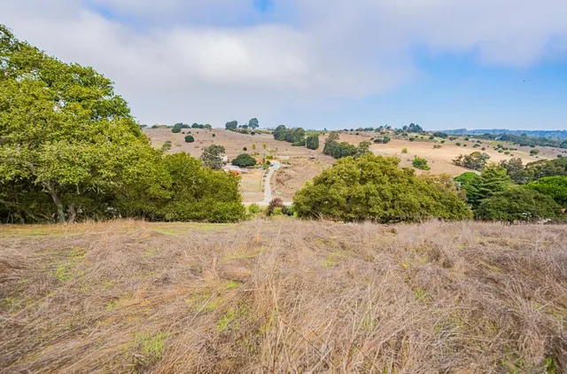 a view of an ocean beach