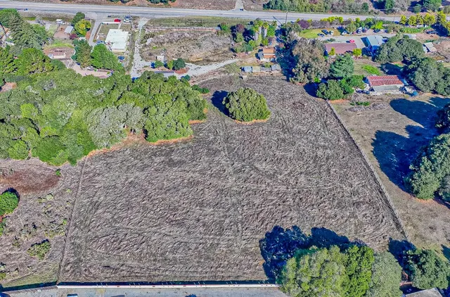 a view of a lot of flowers