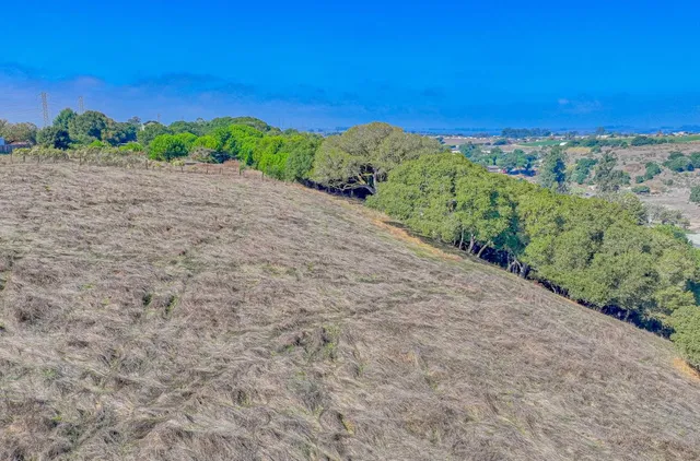 a view of a road with a building in the background