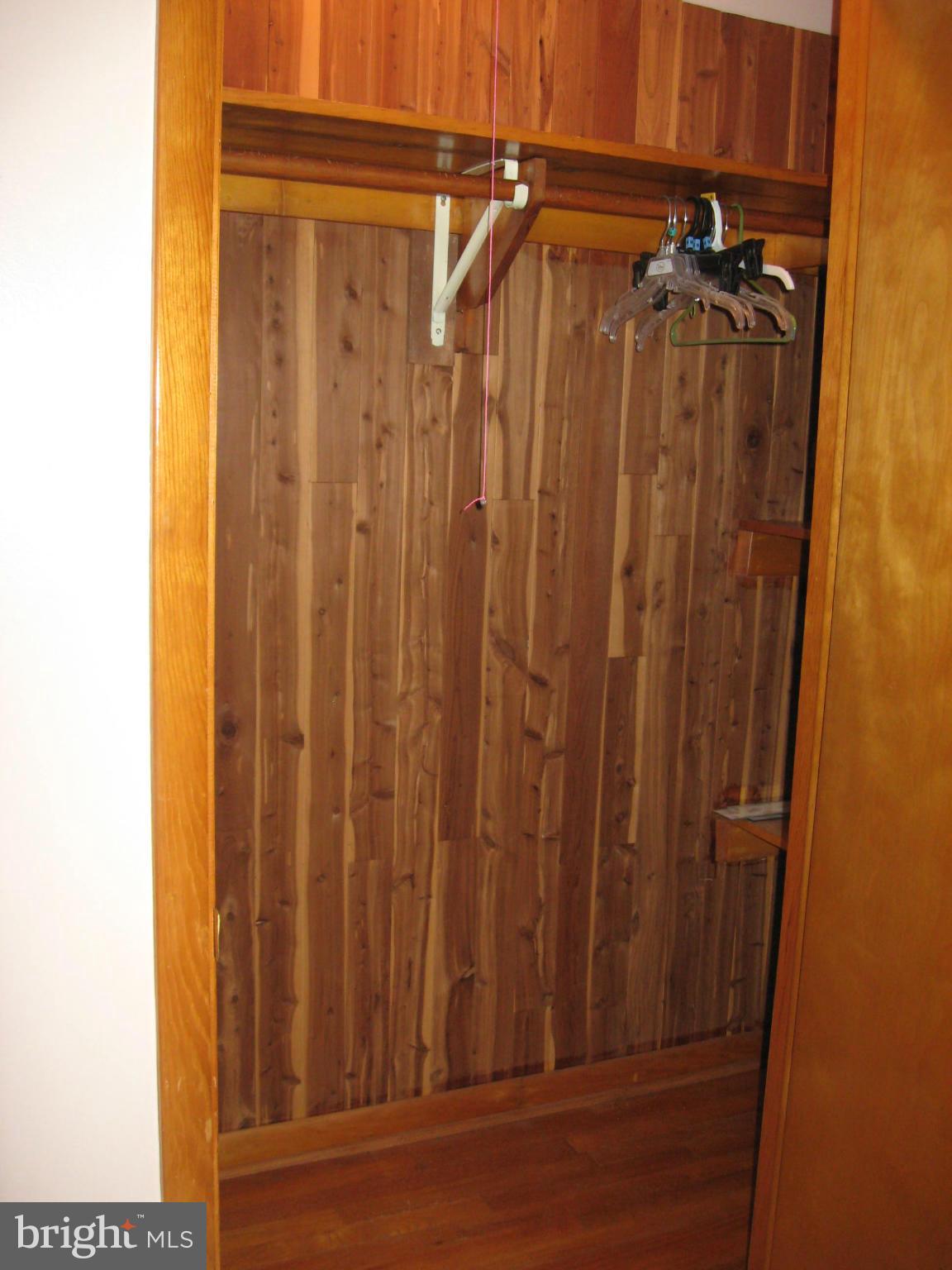 1570 Laurel Road St. Leonard, MD 20685 - Photo 23 of 30 Cedar closet off great room