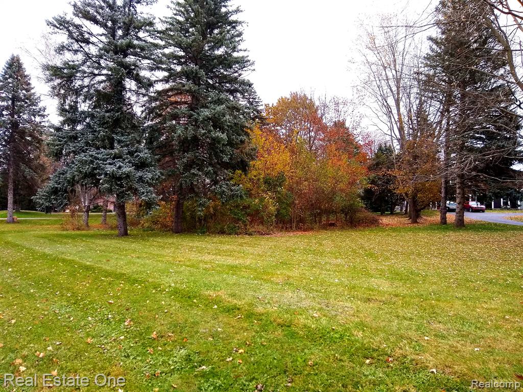 0 Sashabaw Road Ortonville, MI 48462 - Photo 7 of 7