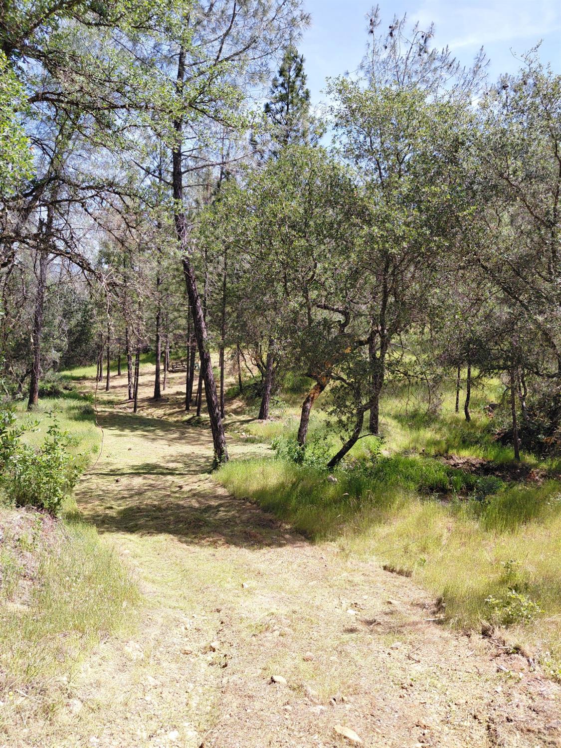 0 Swedes Flat Road Oroville, CA 95966 - Photo 12 of 23