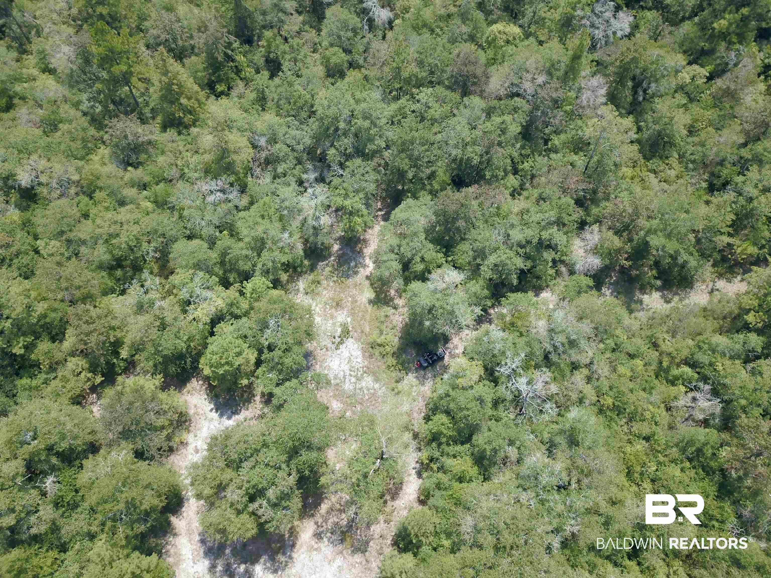 17175 Kelly Road Mount Vernon, AL 36560 - Photo 1 of 30 Drone / aerial view