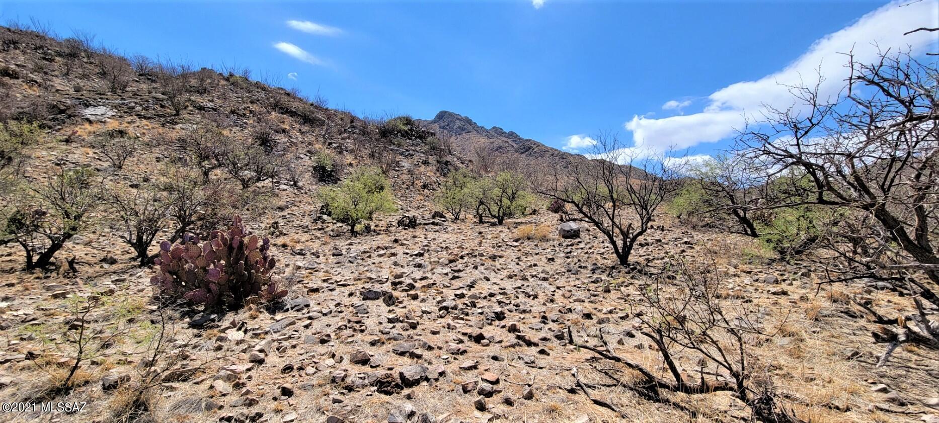 1501 Vía San Cayetano, Unit 25 Rio Rico, AZ 85648 - Photo 8 of 16