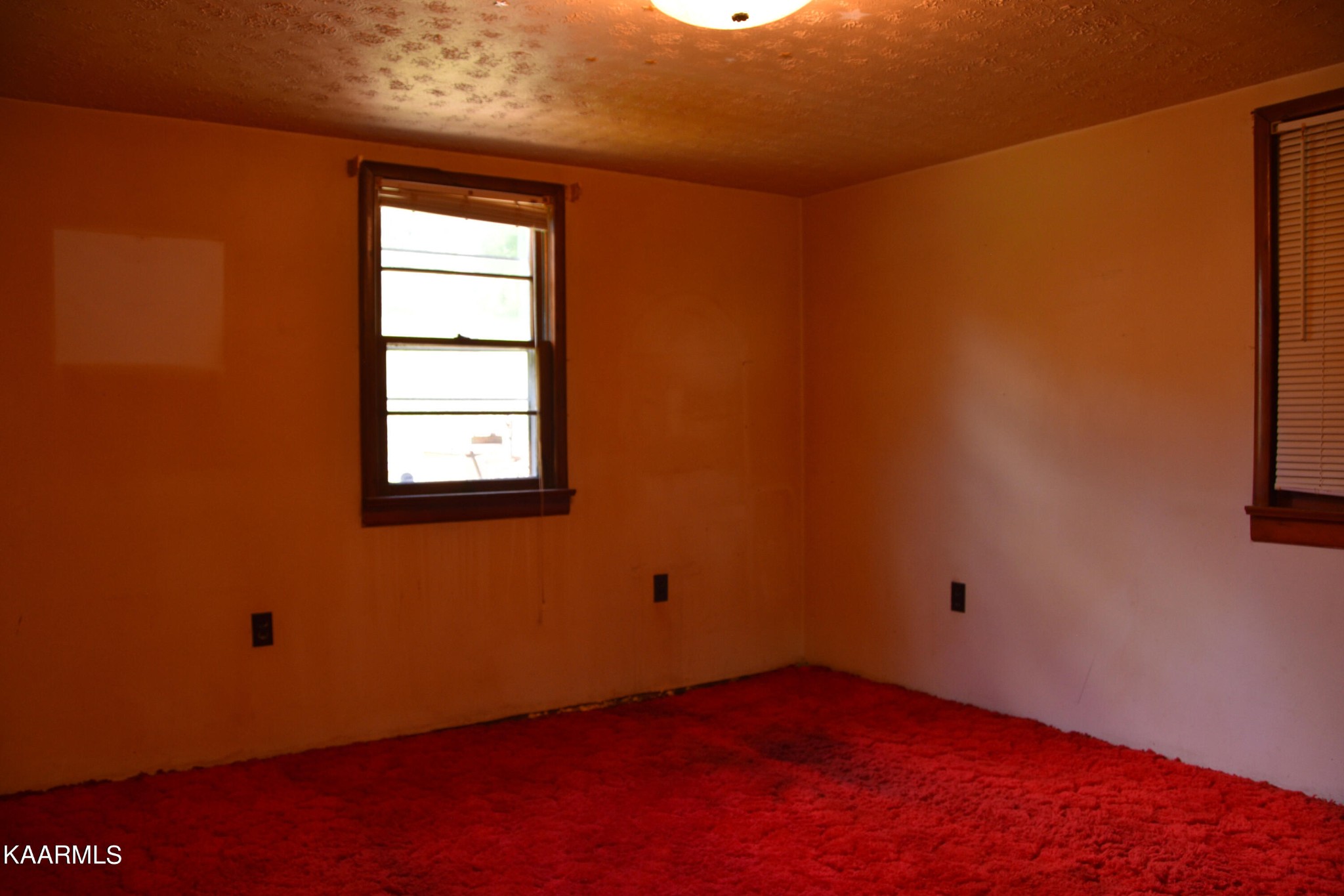 105 Howard Human Road Lancing, TN 37770 - Photo 15 of 44