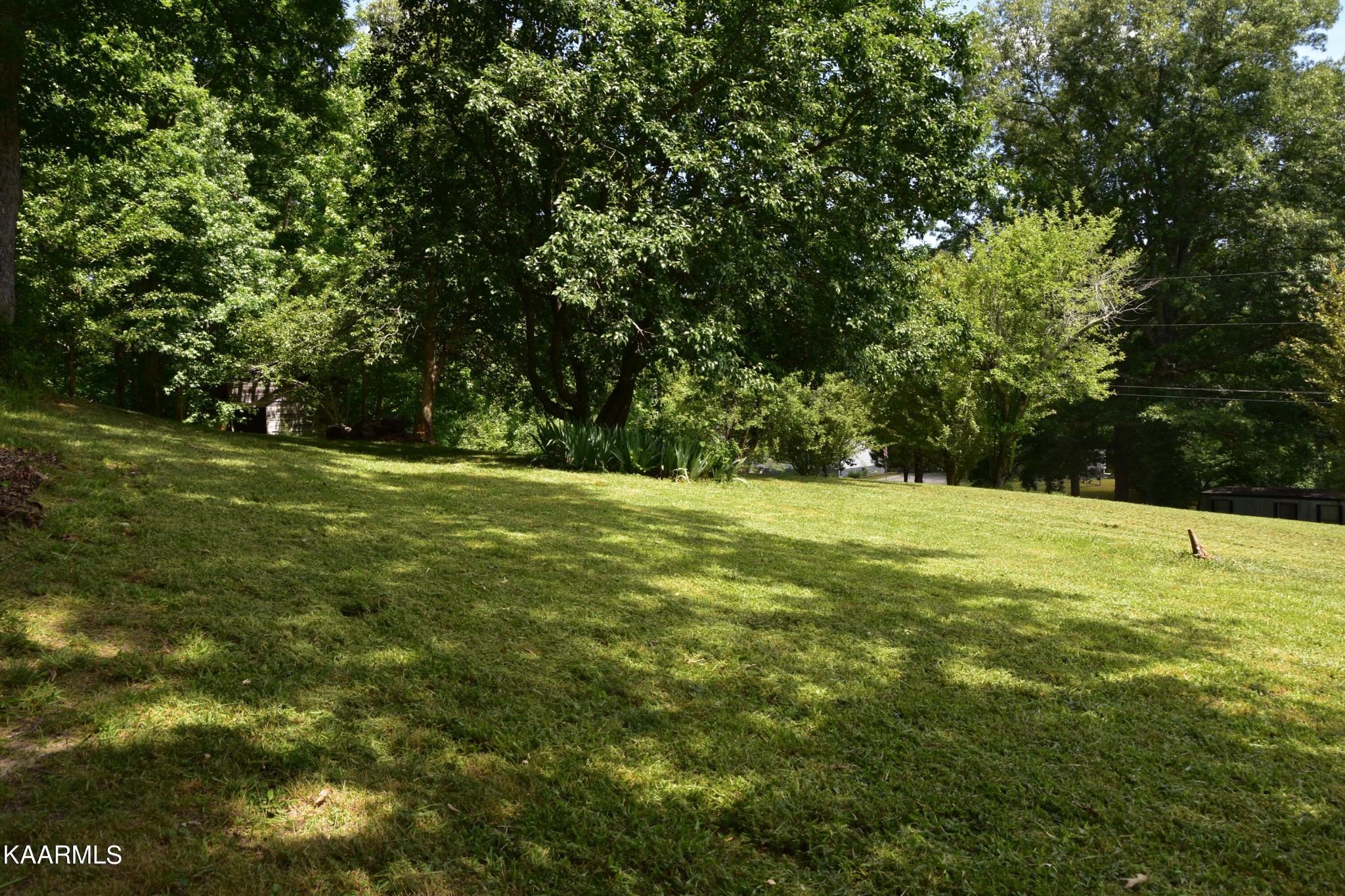 105 Howard Human Road Lancing, TN 37770 - Photo 33 of 44