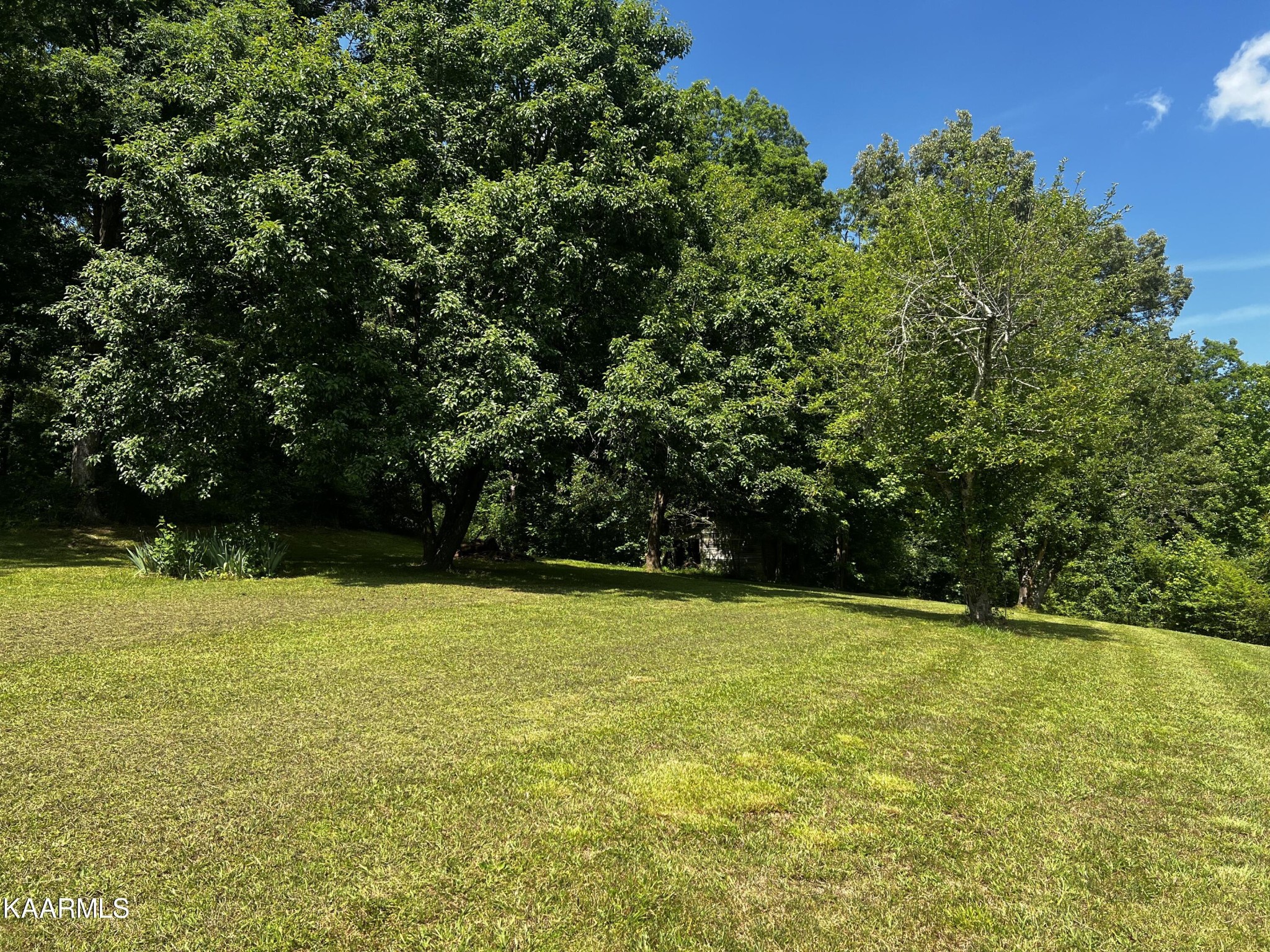 105 Howard Human Road Lancing, TN 37770 - Photo 36 of 44