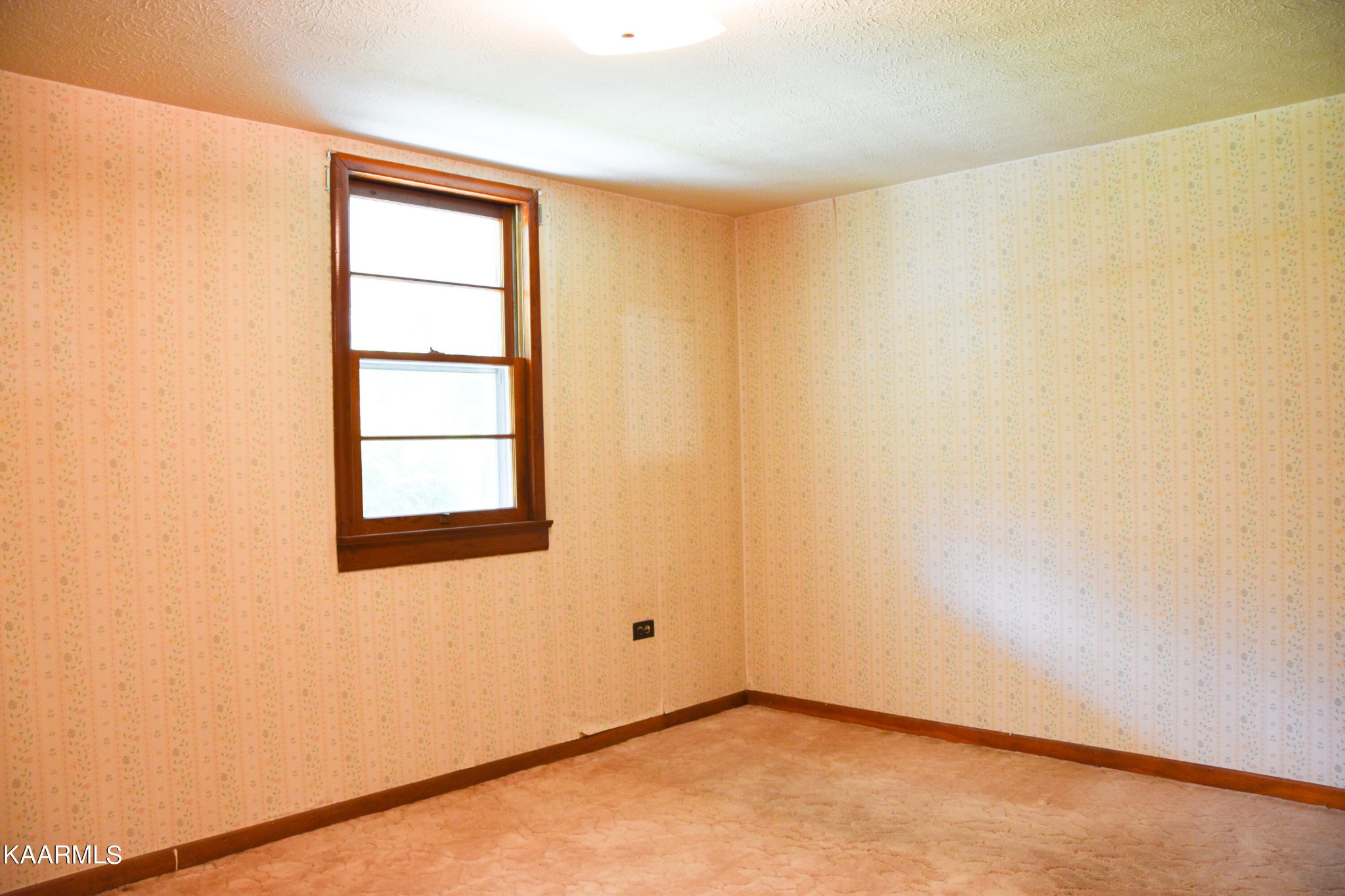 105 Howard Human Road Lancing, TN 37770 - Photo 10 of 44