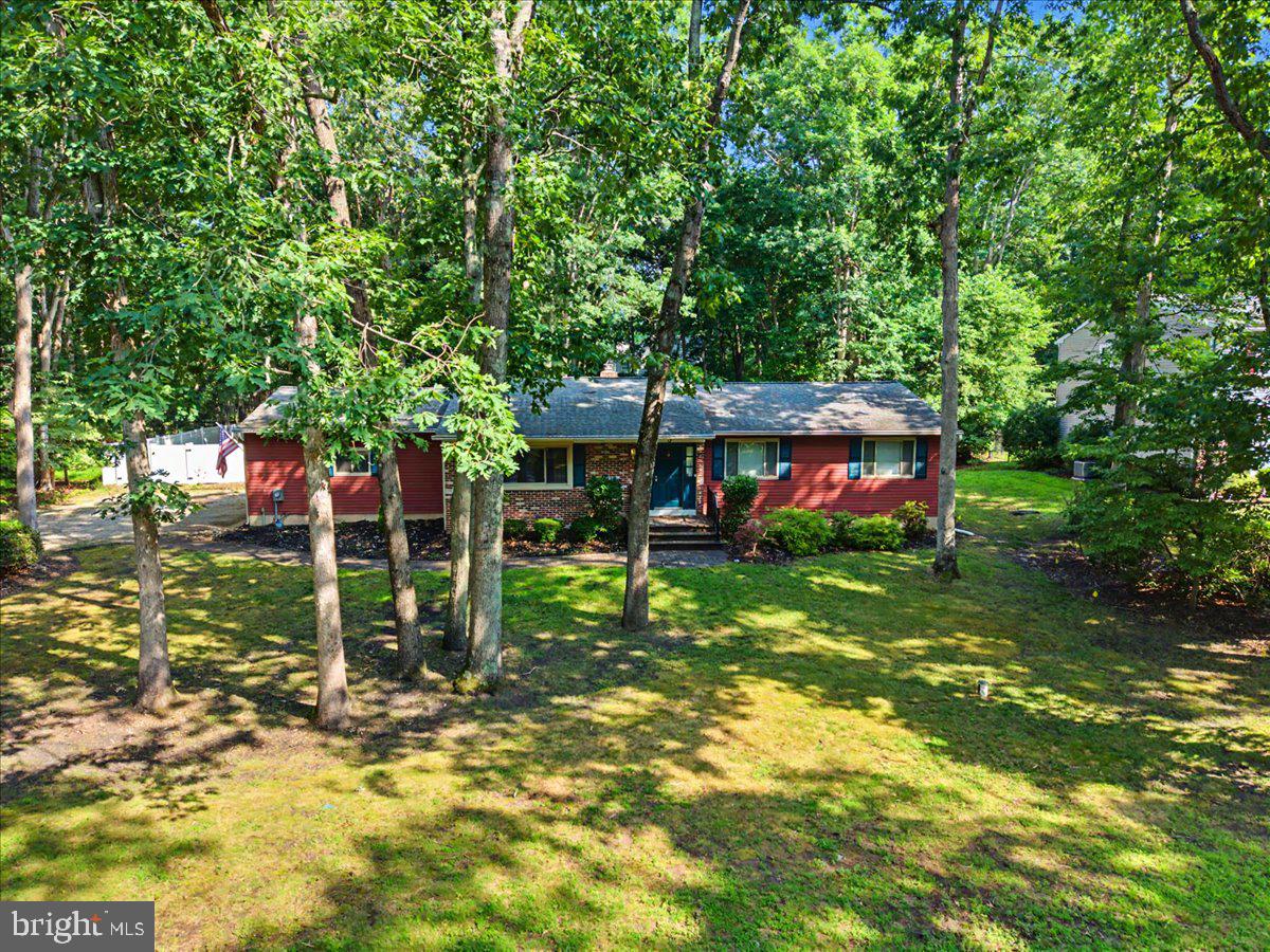 3 Blueberry Road Shamong, NJ 08088 - Photo 36 of 46