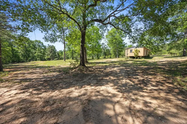 a view of a yard with a tree