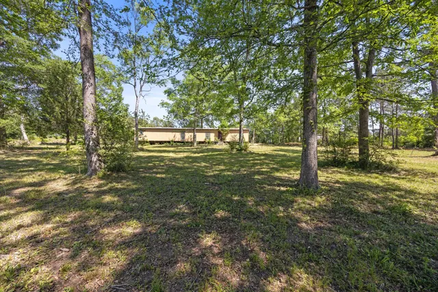 a view of a yard with large trees