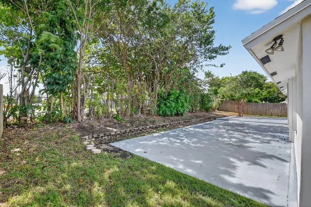 a view of a backyard with large trees
