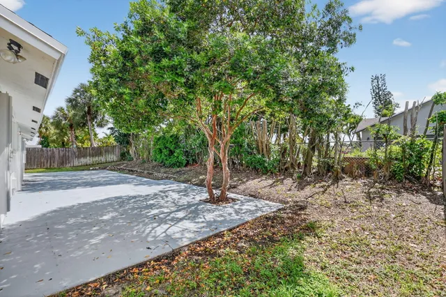 a view of a tree in the middle of a yard