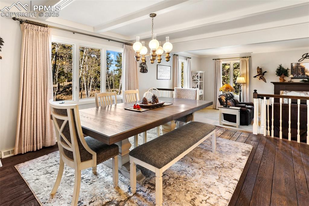 231 South Forty Road Woodland Park, CO 80863 - Photo 12 of 50