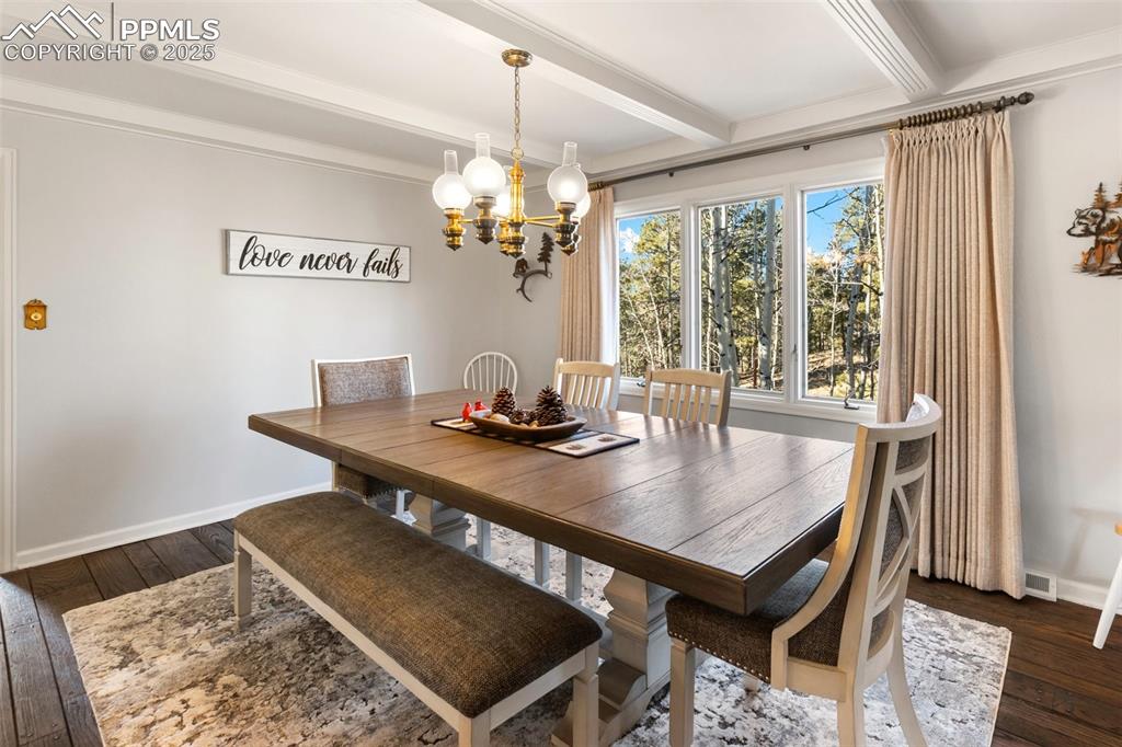 231 South Forty Road Woodland Park, CO 80863 - Photo 13 of 50