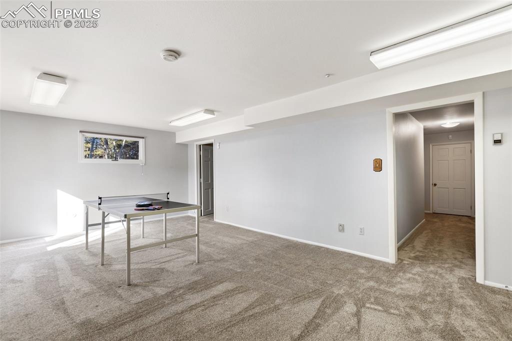 231 South Forty Road Woodland Park, CO 80863 - Photo 29 of 50