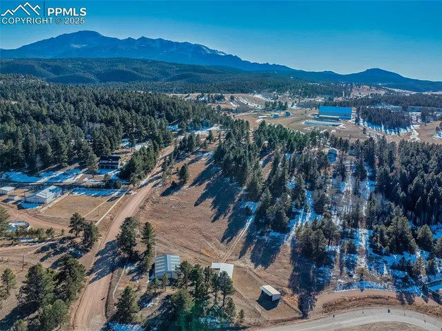 $1,375,000 | 231 South Forty Road, Woodland Park, CO 80863