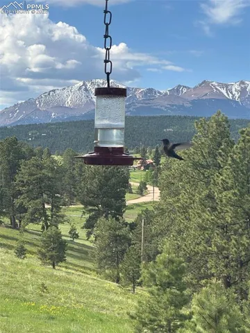 $1,375,000 | 231 South Forty Road, Woodland Park, CO 80863