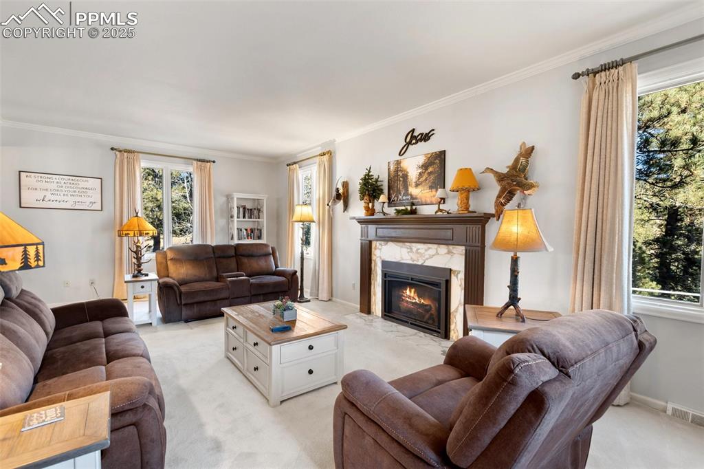 231 South Forty Road Woodland Park, CO 80863 - Photo 8 of 50