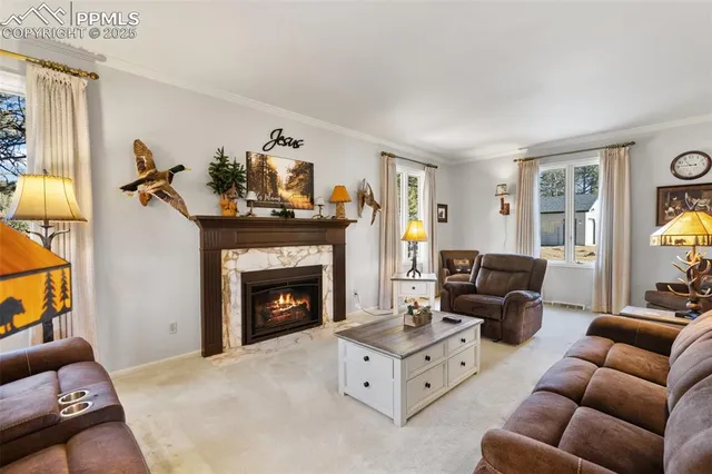 $1,375,000 | 231 South Forty Road, Woodland Park, CO 80863