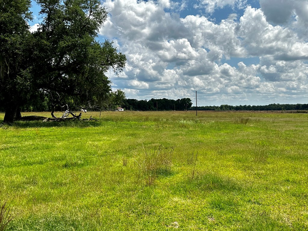9.53-acres Ramer Loop Cottonwood, AL 36320 - Photo 13 of 14