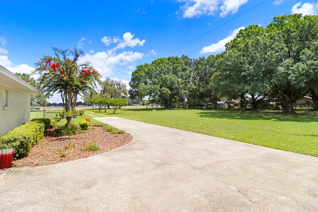 13221 Tom Gallagher Road Dover, FL 33527 - Photo 79 of 80 Gallery Image 79