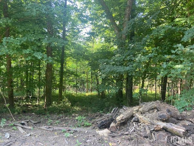540 North County Road Orleans, IN 47452 - Photo 1 of 4 Gallery Image 1