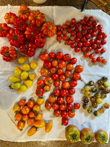 $995,000 | 21520 Swafford Road, Battle Creek, MI 49017