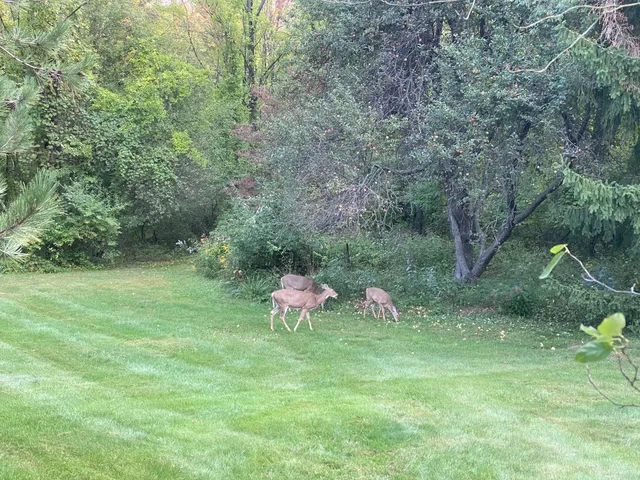 $995,000 | 21520 Swafford Road, Battle Creek, MI 49017