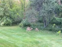 $995,000 | 21520 Swafford Road, Battle Creek, MI 49017