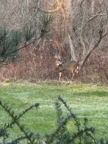 $995,000 | 21520 Swafford Road, Battle Creek, MI 49017