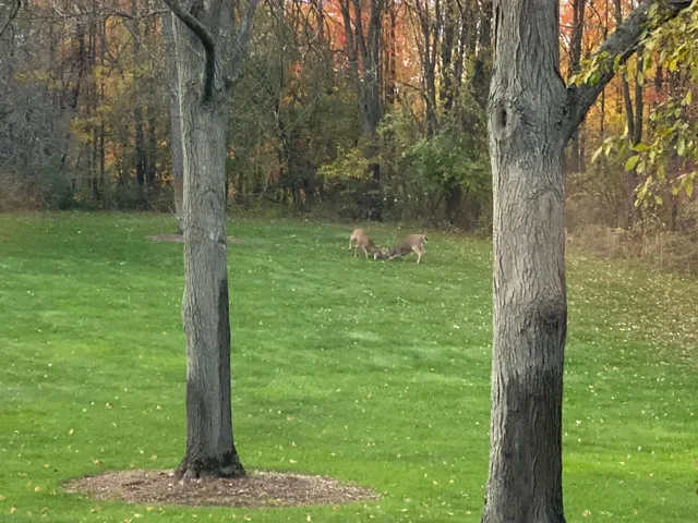 $995,000 | 21520 Swafford Road, Battle Creek, MI 49017