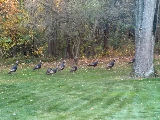 $995,000 | 21520 Swafford Road, Battle Creek, MI 49017