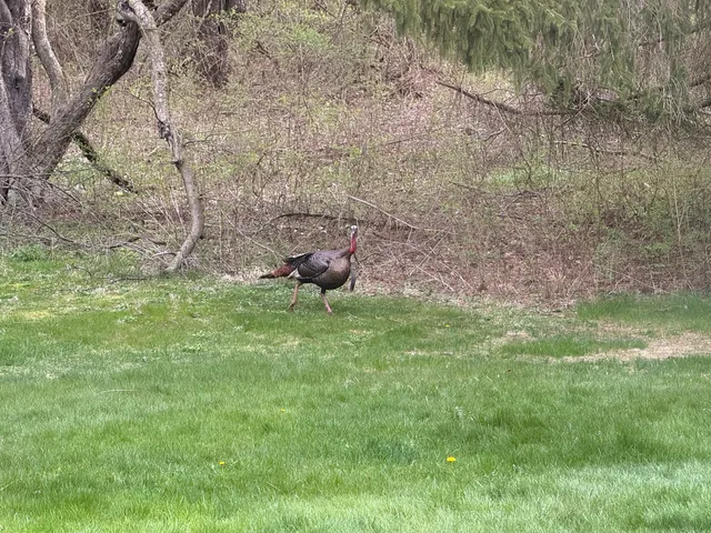 $995,000 | 21520 Swafford Road, Battle Creek, MI 49017