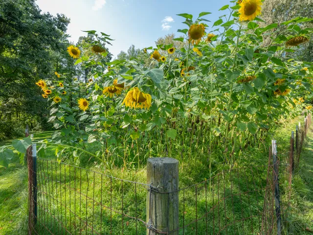 $995,000 | 21520 Swafford Road, Battle Creek, MI 49017