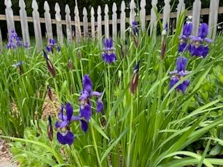 $995,000 | 21520 Swafford Road, Battle Creek, MI 49017