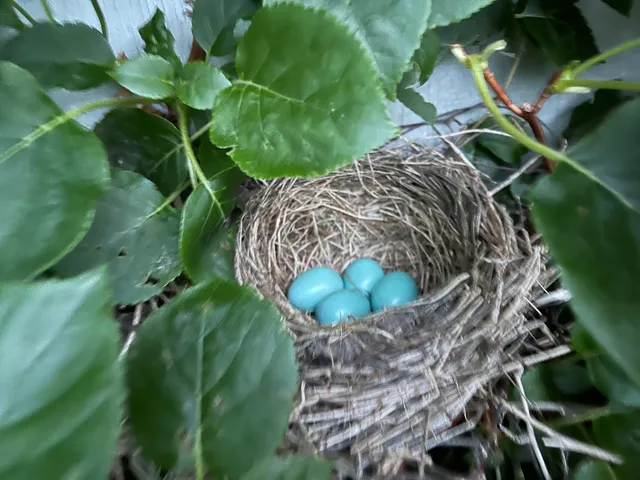 $995,000 | 21520 Swafford Road, Battle Creek, MI 49017