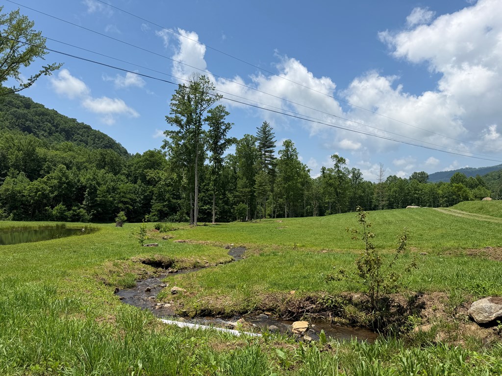1446 Muskrat Creek Road Hayesville, NC 28904 - Photo 17 of 108