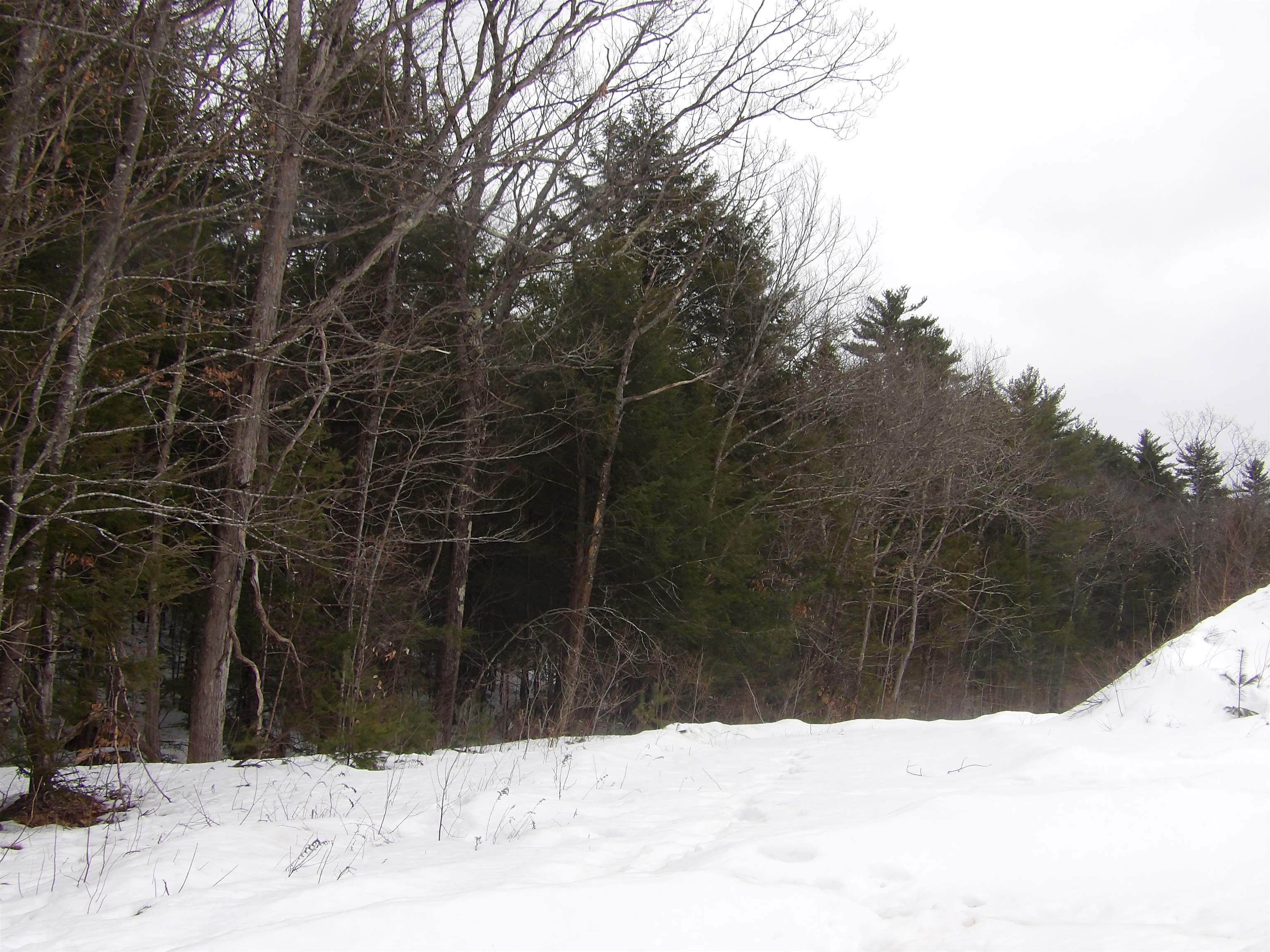 46 Poplar Road Sanbornton, NH 03269 - Photo 1 of 3
