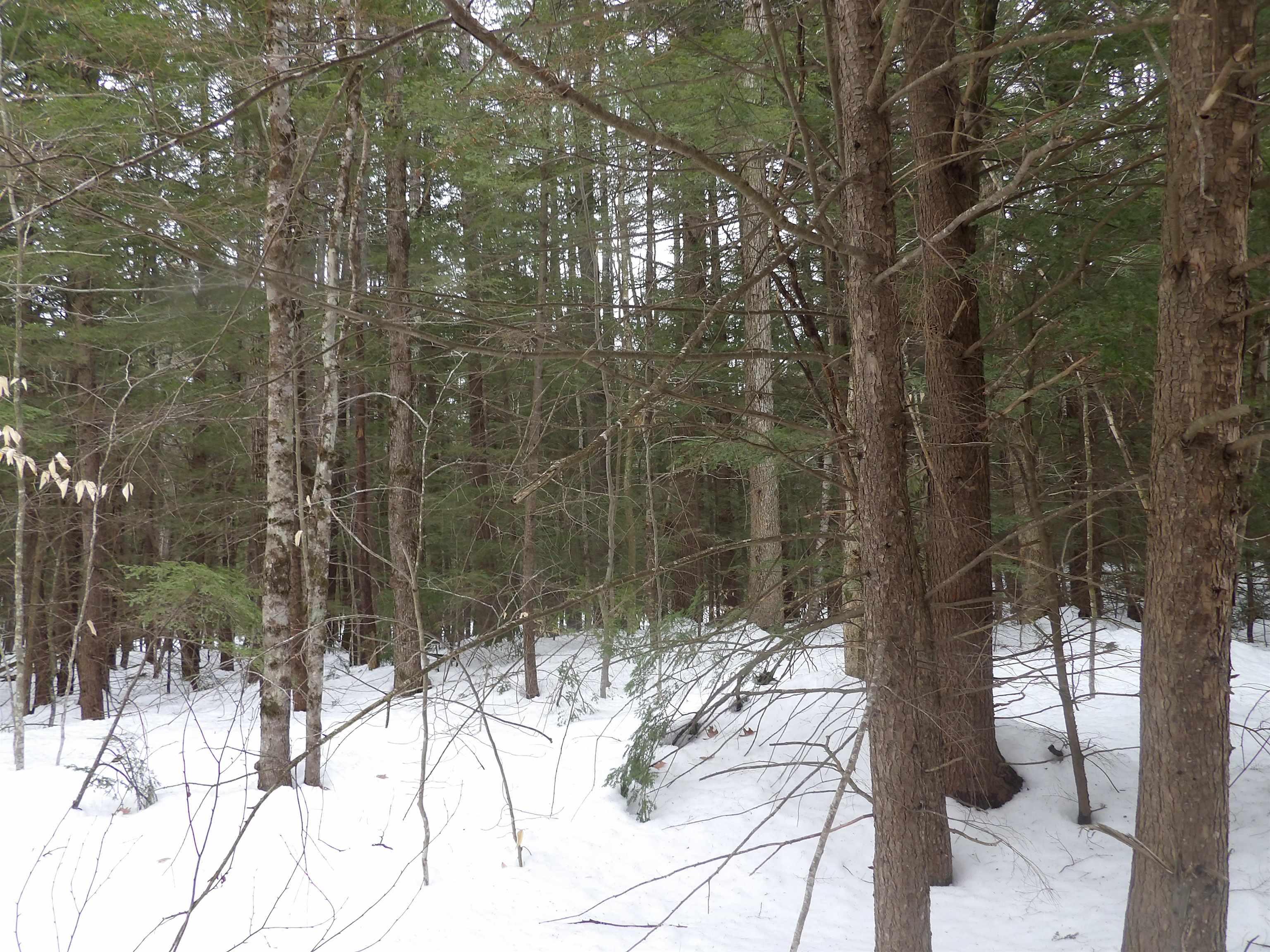46 Poplar Road Sanbornton, NH 03269 - Photo 2 of 3