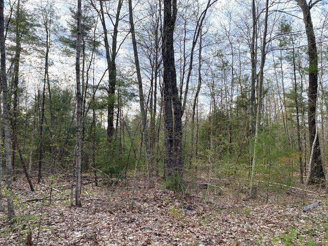 12 L New Athol Road Petersham, MA 01366 - Photo 2 of 3