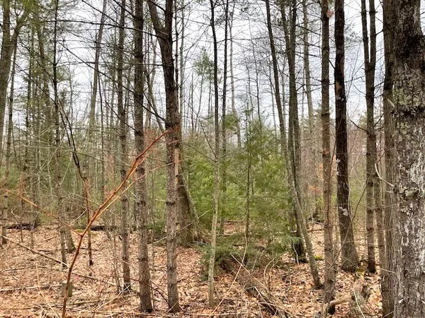 $110,000 | 12 L New Athol Road, Petersham, MA 01366