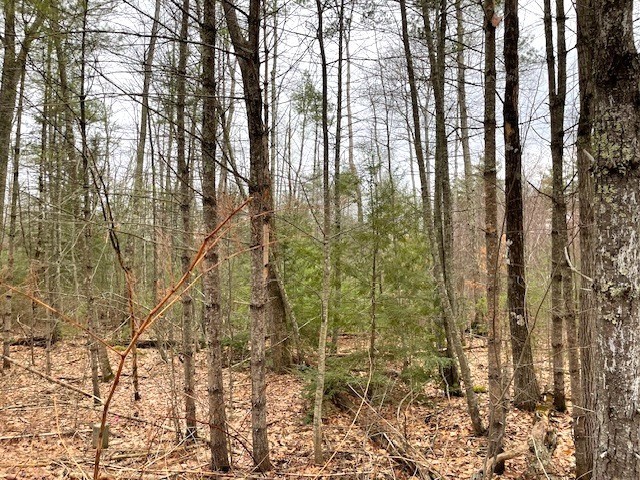 12 L New Athol Road Petersham, MA 01366 - Photo 3 of 3