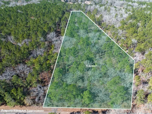 a view of a yard with a forest