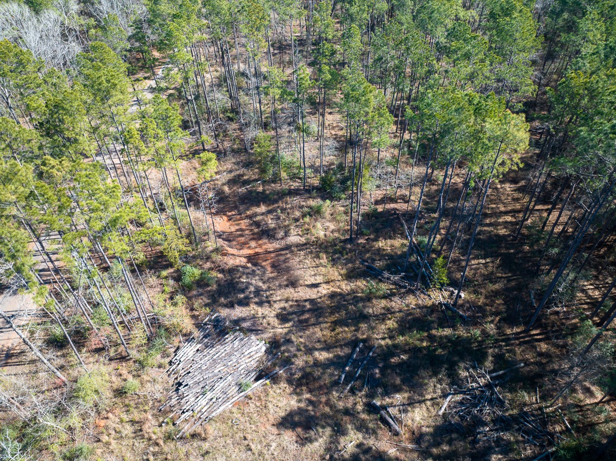 1 O'Quinn Road Pollok, TX 75969 - Photo 11 of 30